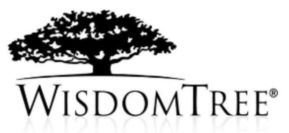DIVIDEND ANNOUNCEMENT: US MidCap Divid Fd/WisdomTree Trust (NYSE:DON) on 01/24/2023 declared a dividend of $0.0050 per share